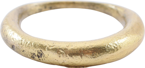 VIKING WARRIOR’S HAIR RING C.800-1050 AD - Fagan Arms