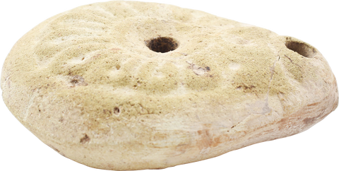 EGYPTIAN FROG OIL LAMP 2ND-4TH CENTURY AD - Fagan Arms