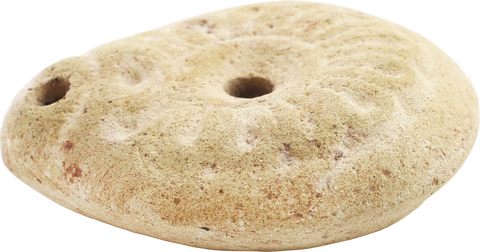 EGYPTIAN FROG OIL LAMP 2ND-4TH CENTURY AD - Fagan Arms