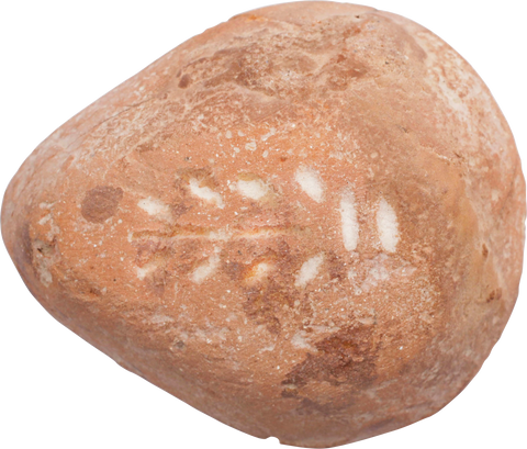 EGYPTIAN FROG FORM OIL LAMP C.30BC-200 AD - Fagan Arms