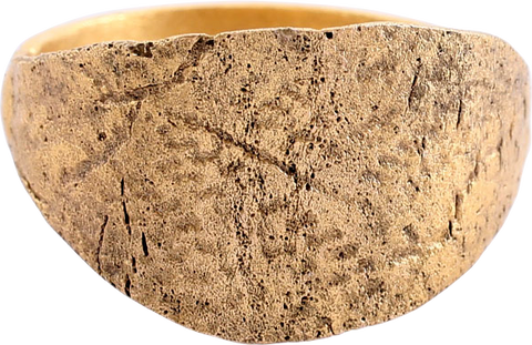 RARE VIKING WARRIOR’S SHIELD RING, 10TH CENTURY AD, SIZE 10 - The History Gift Store