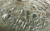 FINE VICTORIAN RENAISSANCE IRON SHIELD - The History Gift Store