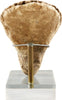WEST AFRICAN FUNERARY HEAD - The History Gift Store