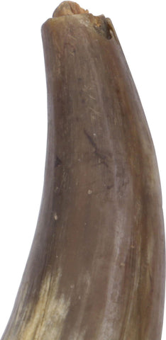 COLONIAL AMERICAN PRIMING HORN - The History Gift Store