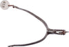 Fine 16th Century Iron Spur - The History Gift Store