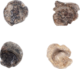 CRUSADES SUPPLY SEALS - The History Gift Store