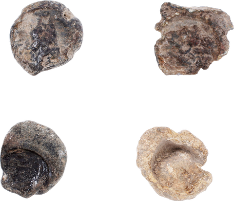 CRUSADES SUPPLY SEALS - The History Gift Store