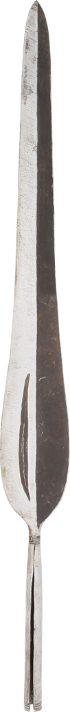 FINE MANGBETU SPEAR FROM THE TREASURE ROOM OF CHIEF GWATALA - Fagan Arms