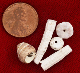 ANIENT EGYPTIAN SHELL/STONE BEADS - Fagan Arms