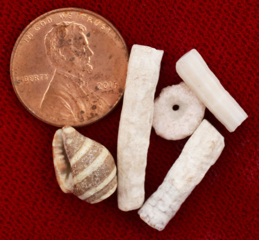 EGYPTIAN PREHISTORIC BEADS - Fagan Arms