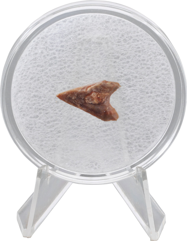 ANCIENT EGYPTIAN FLINT ARROWHEAD, C.3000-2500 BC - The History Gift Store