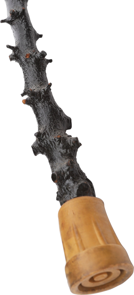GOOD OLD IRISH SHILLELAGH - The History Gift Store