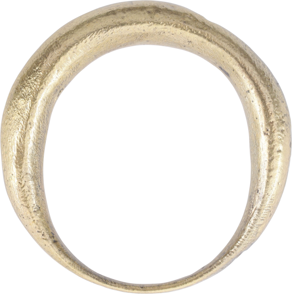VIKING WARRIOR’S HAIR RING C.800-1050 AD - Fagan Arms