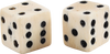 REVOLUTIONARY WAR BONE DICE - The History Gift Store