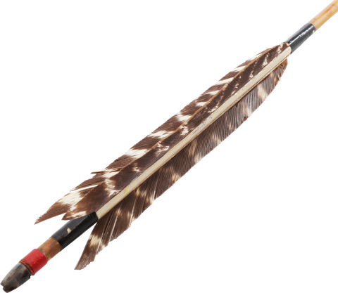 FINE JAPANESE SAMURAI WAR ARROW, EDO PERIOD - The History Gift Store