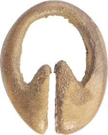 IFUGAO HEADHUNTER'S CHARM, C.1850 - Fagan Arms