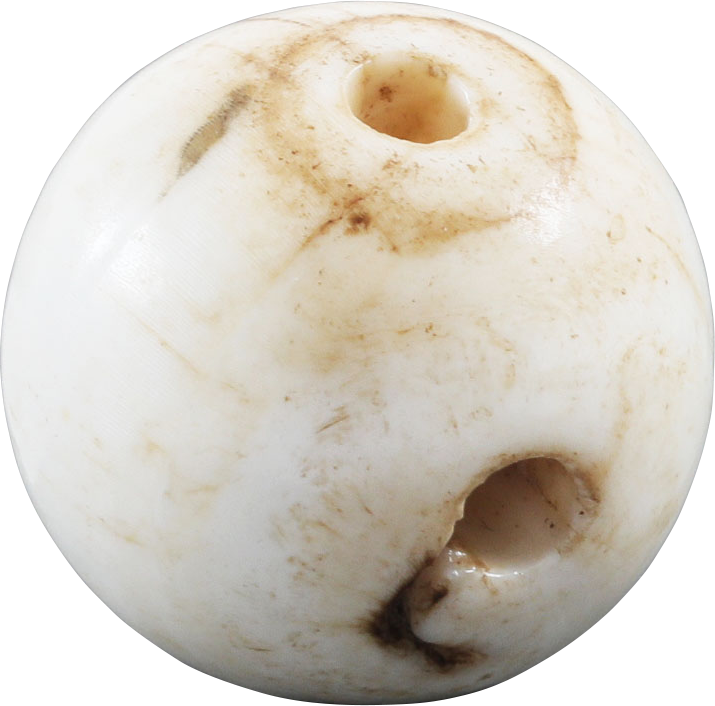 RARE VIKING SEA SHELL BEAD, 850-1050 AD - The History Gift Store