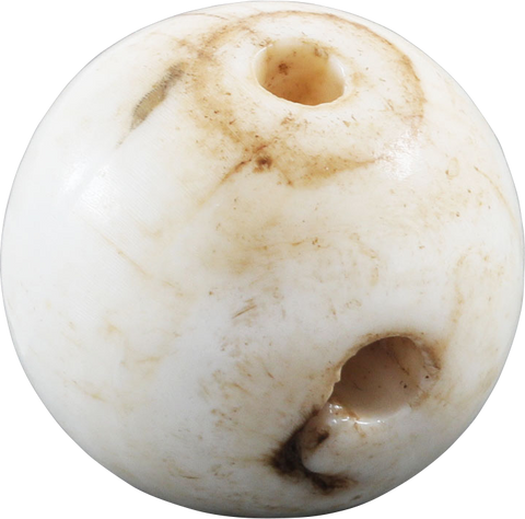RARE VIKING SEA SHELL BEAD, 850-1050 AD - The History Gift Store