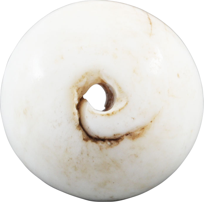 RARE VIKING SEA SHELL BEAD, 850-1050 AD - The History Gift Store