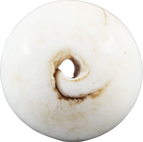 RARE VIKING SEA SHELL BEAD, 850-1050 AD - The History Gift Store