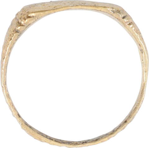 VIKING WARRIOR’S RING C.750-900AD, SIZE 9 - Fagan Arms