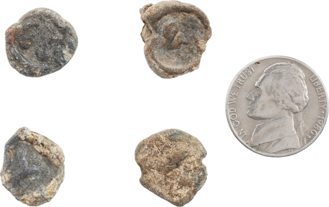 CRUSADES SUPPLY SEALS - The History Gift Store