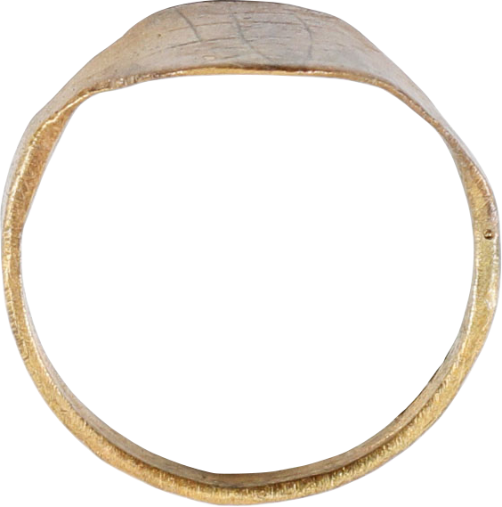VIKING SHIELD RING C.850-1000AD, SIZE 10 ½ - Fagan Arms