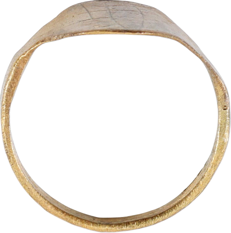 VIKING SHIELD RING C.850-1000AD, SIZE 10 ½ - Fagan Arms