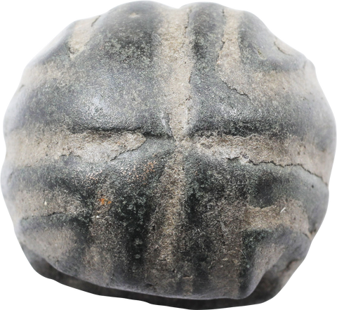 CELTIC WARRIOR’S SWORD BELT KEEPER C.400bc-150AD - Fagan Arms