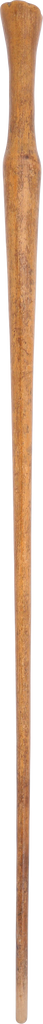 RARE AMERICAN PLANTATION CANE, EARLY 19TH CENTURY - Fagan Arms