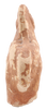 GRECO-ROMAN TERRA COTTA FIGURE OF A HORSE 100BC-100AD - Fagan Arms