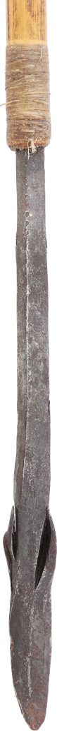 AFRICAN PYGMY POISON ARROW - Fagan Arms