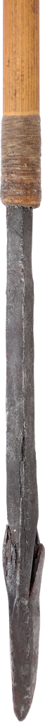 AFRICAN PYGMY POISON ARROW - Fagan Arms