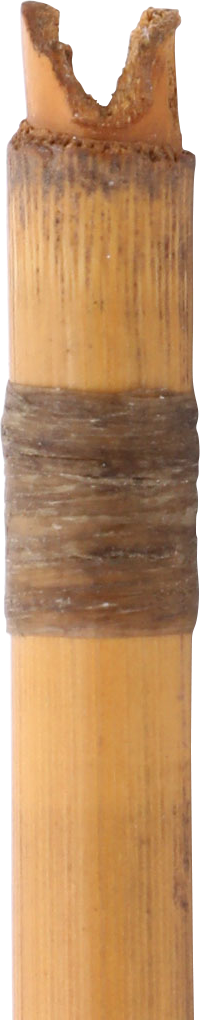 AFRICAN PYGMY POISON ARROW - Fagan Arms