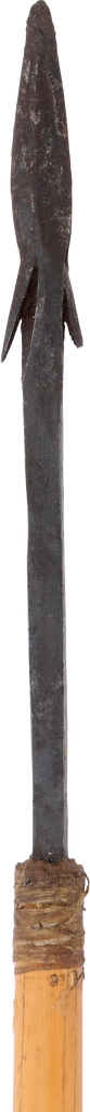 AFRICAN PYGMY POISON ARROW - Fagan Arms