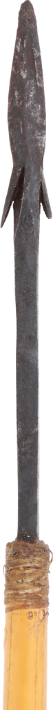 AFRICAN PYGMY POISON ARROW - Fagan Arms