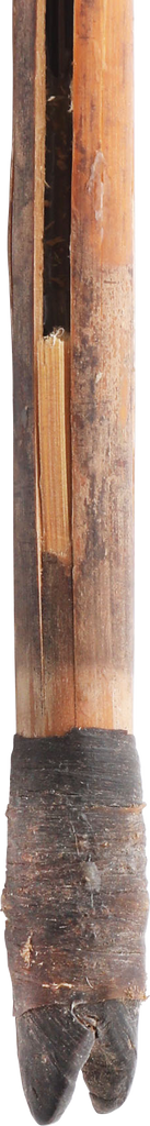 AFRICAN PYGMY POISON ARROW - Fagan Arms