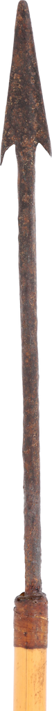 AFRICAN PYGMY ARROW - Fagan Arms