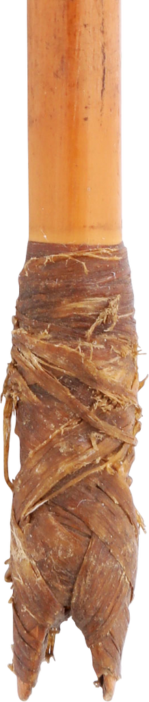 AFRICAN PYGMY ARROW - Fagan Arms