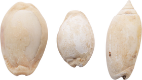 ANCIENT EGYPTIAN SHELLS - Fagan Arms