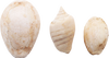 ANCIENT EGYPTIAN SHELLS - Fagan Arms
