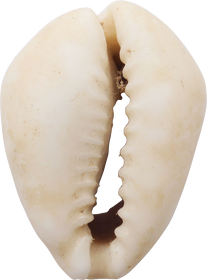 ANCIENT EGYPTIAN COWRIE AMULET - Fagan Arms