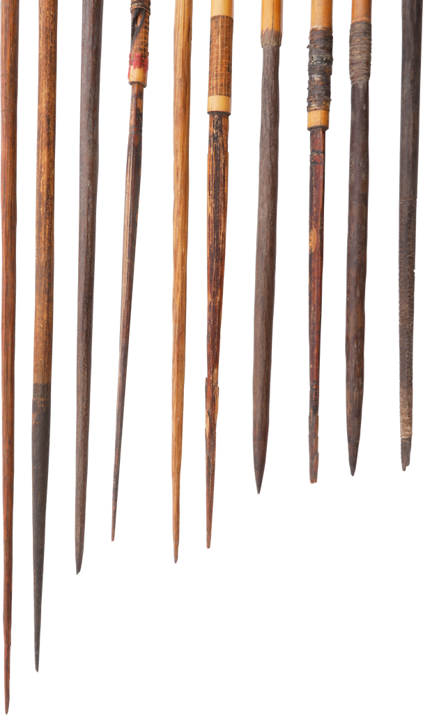 NEW GUINEA ARROWS - Fagan Arms