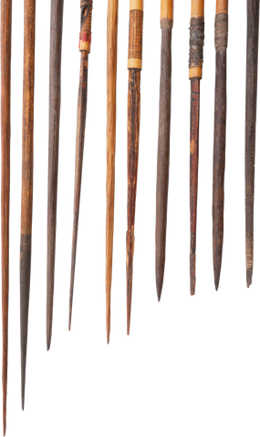 NEW GUINEA ARROWS - Fagan Arms