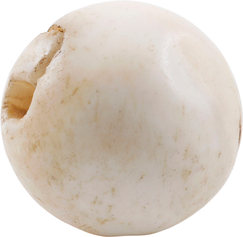 RARE VIKING SEA SHELL BEAD, 850-1050 AD - Fagan Arms