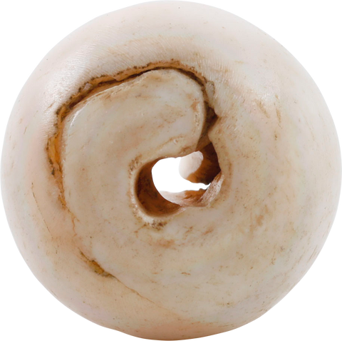 RARE VIKING SEA SHELL BEAD, 850-1050 AD - Fagan Arms