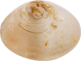 VIKING GLASS BEAD 850-1050 AD - Fagan Arms