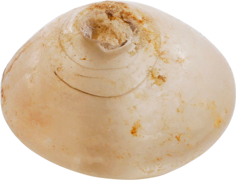 VIKING GLASS BEAD 850-1050 AD - Fagan Arms