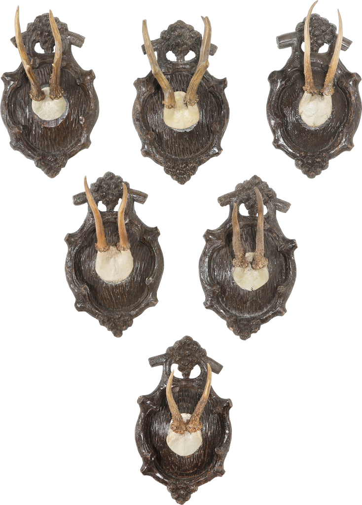 BLACK FOREST ROE DEER TROPHY MOUNTS SET OF SIX - Fagan Arms