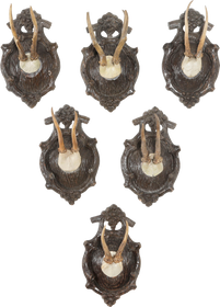 BLACK FOREST ROE DEER TROPHY MOUNTS SET OF SIX - Fagan Arms